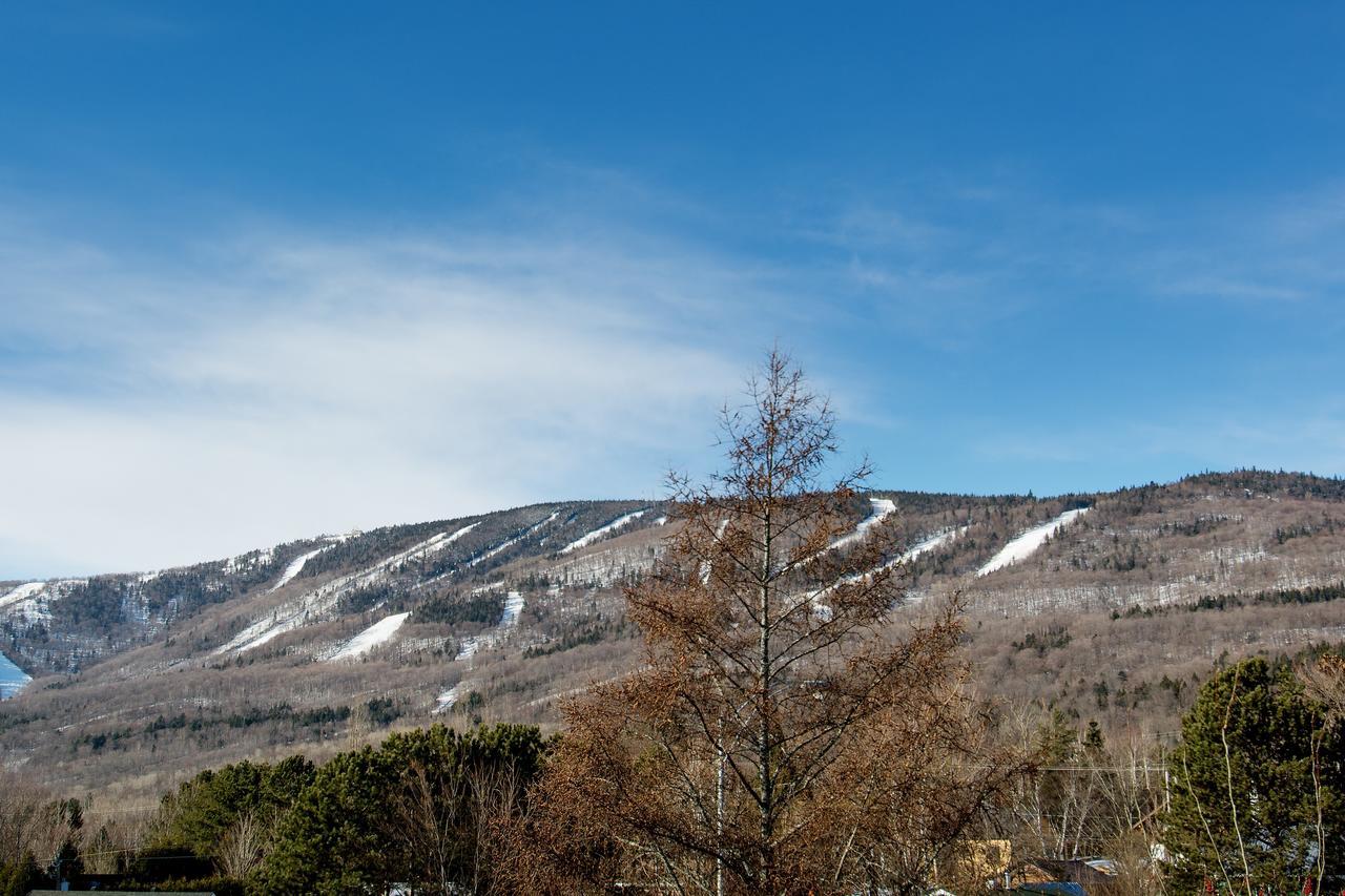 Le Vallon Saint-Ferreol-les-Neiges 외부 사진